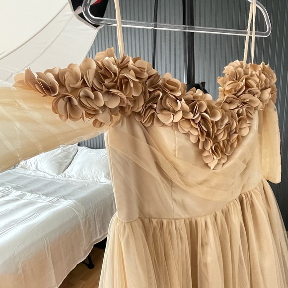 Champagne off the shoulder ruffle tulle gown - Picture 4 of 5
